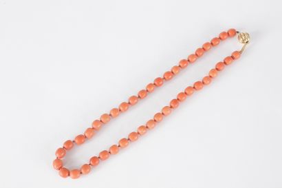Collier de boules oblongues de corail, le...