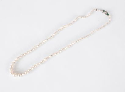 Collier de perles de culture en chute, le...