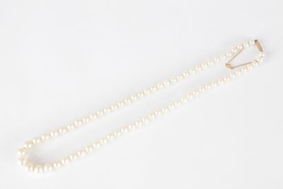 Collier de perles de culture en chute, fermoir...