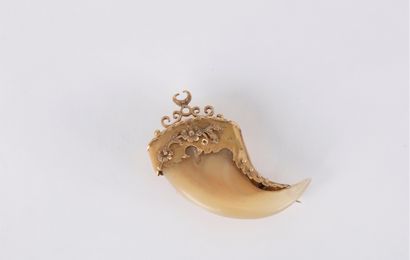 Broche formée d’une griffe de félin montée...
