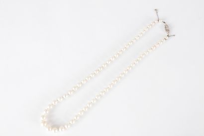 Collier de perles de culture en chute, le...