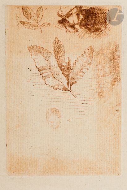 Odilon Redon (1840-1916)
Croquis. Avant 1870....
