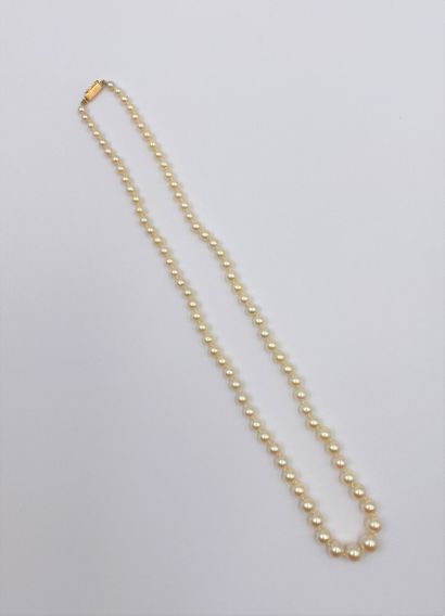Collier de perles de culture en chute, fermoir...