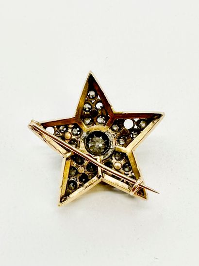 Broche en argent et en or 18K (750), émaillée...
