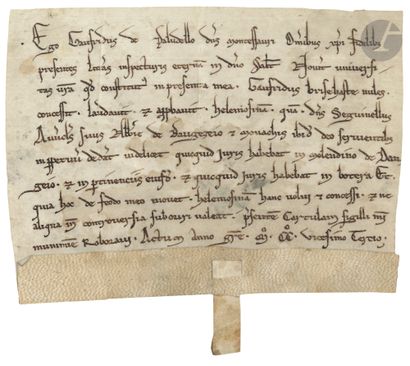 TOURAINE. Charter, 1223; oblong parchment...