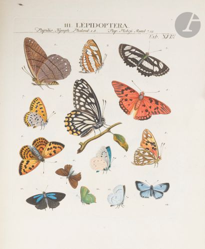 RÖMER (Johann Jacob).
Genera insectorum Linnæi...