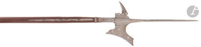 Halberd with long, four-sided gauntlet.
Cut-out...