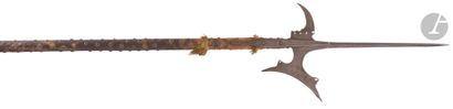 Halberd. 
Iron engraved with stippling.
Iron...