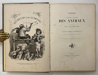 XIXth CENTURY ILLUSTRATION BOOKS]. 
 Important...