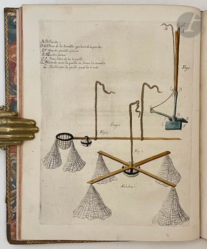 DONATI (Vitaliano) Essai sur l'histoire naturelle...