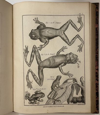 [ANTIQUE BOOKS]. 
Lot of 23 antique books...