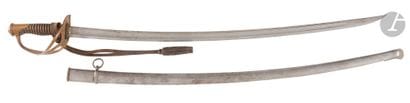 Model 1822 light cavalry saber. 
Horn handle...