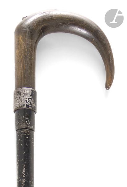 Canne-fusil un coup système étoile calibre...
