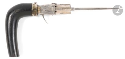 Canne-revolver dague système Dumonthier,...