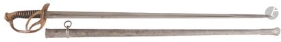 Model 1883 cavalry officer's saber. 
Horn...