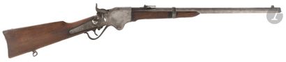 Carabine de selle Spencer à répétition, calibre...