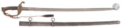 Model 1855 infantry officer's saber. 
Horn...