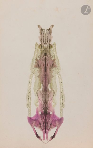 EARLY 20TH-CENTURY SCHOOL
Dreamlike Compositions
Klecksography...