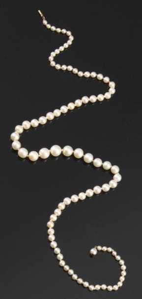 Collier de 88 perles en légère chute, petit...