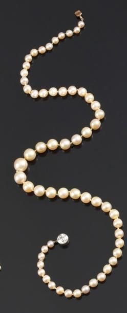 Collier de 59 perles en chute, fermoir en...