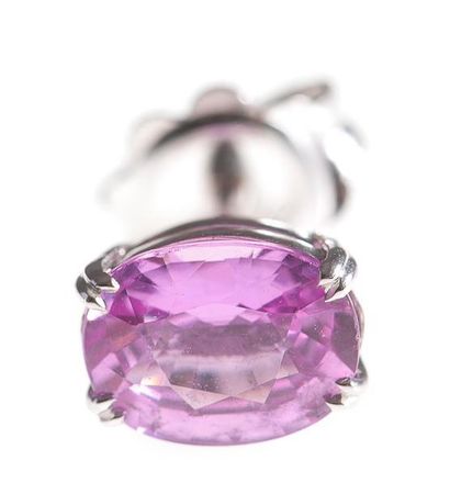 Paire de puces d'oreilles en or gris, chacune...