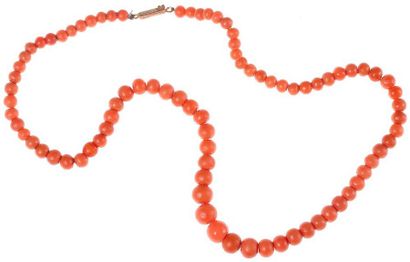 Collier de boules de corail en chute (une...