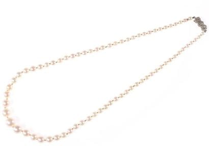 Collier de 71 perles de culture en chute,...