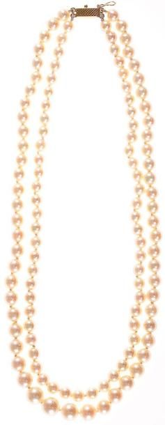 Collier de 2 rangs de perles de culture en...