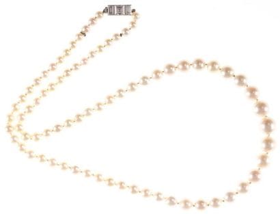 Collier de 77 perles en chute, fermoir en...