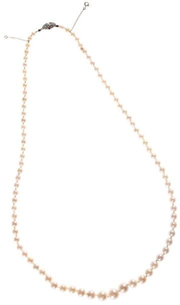 Collier de perles de culture en chute