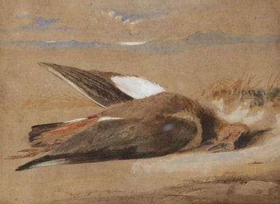 Newton FIELDING (1799-1856)

Un vanneau huppé
Aquarelle.
Datée...