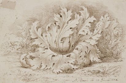 Jean BONI

Étude d'une feuille d'acanthe
Plume...