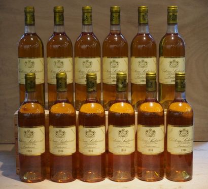 Sauternes
12 Bouteilles CHÂTEAU SUDUIRAUT...