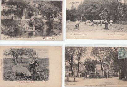 DORDOGNE : lot de 5 cpa