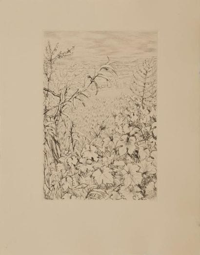 [JACQUEMIN (André)] - BEDEL (Maurice).
Géographie...