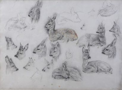Xavier DE PORET (1894-1975)

Etude de chevreuils...