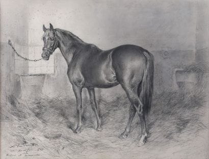 Xavier DE PORET (1894-1975)

Cheval à l'écurie...