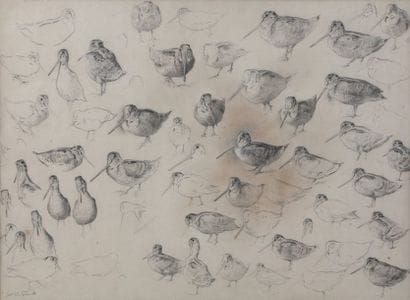 Xavier DE PORET (1894-1975)

Etude de bécasses...