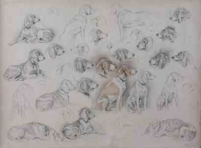 Xavier DE PORET (1894-1975)

Etude de chiens...