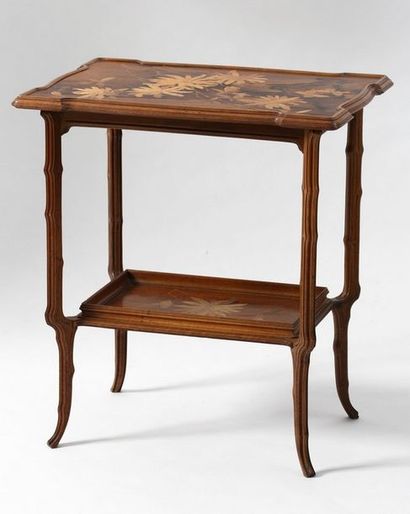 Etablissements GALLE

TABLE ART NOUVEAU aux...