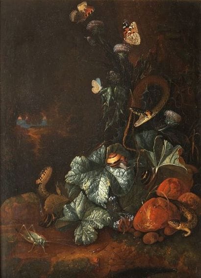 Carl Wilhelm de HAMILTON (Bruxelles 1668-...