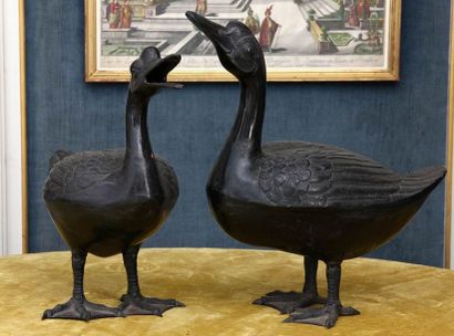 PAIRE DE STATUETTES DE CANARD

Moderne

Fer...