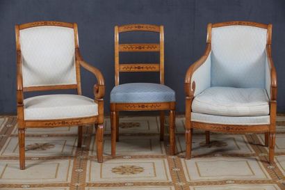 SUITE D'UNE BERGERE, D'UN FAUTEUIL A CROSSE...