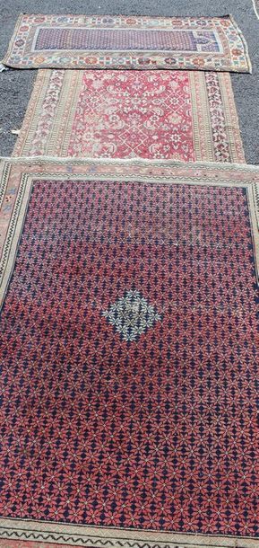 CAUCASE - TROIS TAPIS anciens 

Laine nouée

Deux...