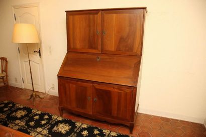 SCRIBAN - Angleterre XIXème Siècle

Bois...