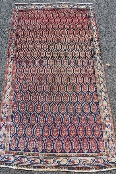 CAUCASE - TAPIS ancien 

Laine nouée

Décor...