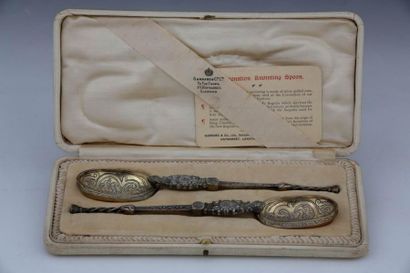Pair of Coronation spoons. 
 
England - George...