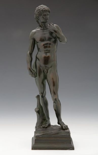 DAVID According to Michelange

BRONZE with...