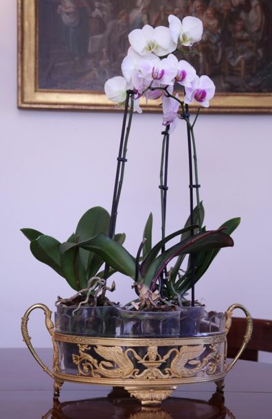 OVAL GARDENER

Empire style - Circa 1900

Cut...