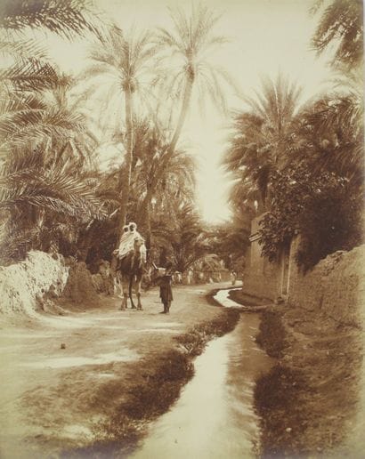 BOUGAULT Alexandre (1851 - 1911)

ALGERIE,...